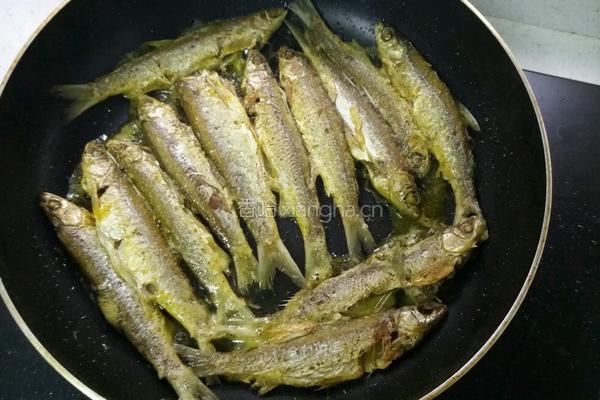 菜油煎洞庭湖油叼子鱼的做法图解4