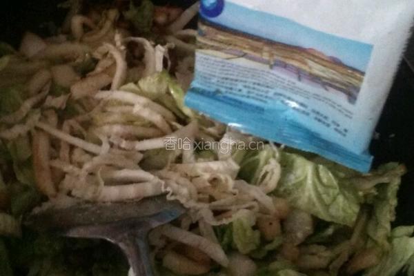 猪肉白菜炖粉条的做法图解8