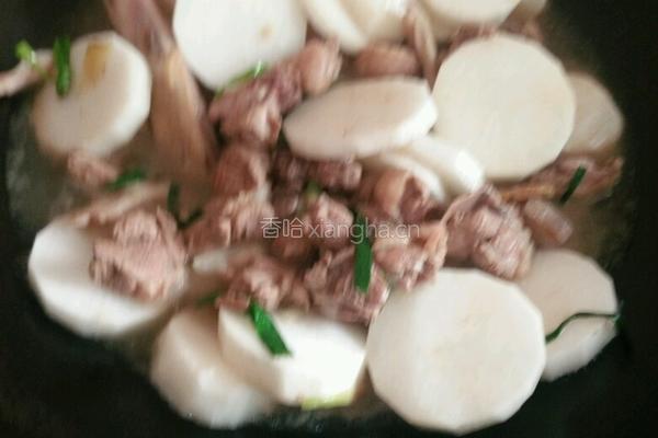 萝卜焖鸭的做法图解5