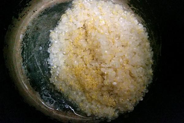大小米粥的做法图解4