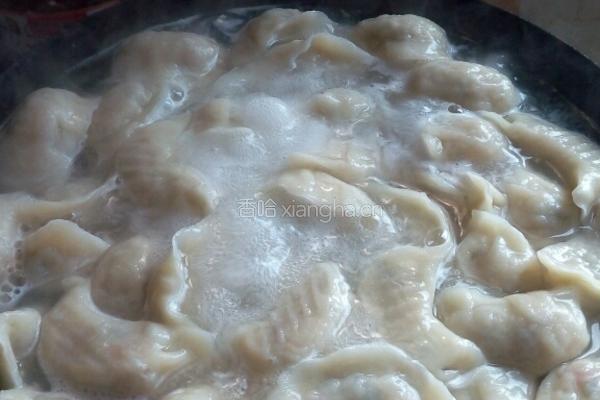 素饺子的做法图解8