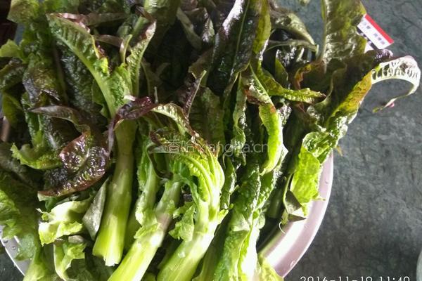 清炒莴笋叶的做法图解1
