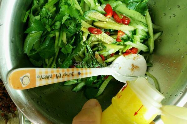 凉拌黄瓜的做法图解7
