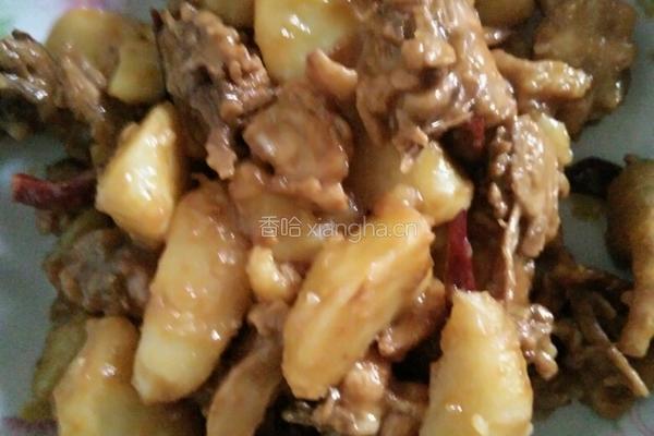 土豆炖鸡肉的做法图解10