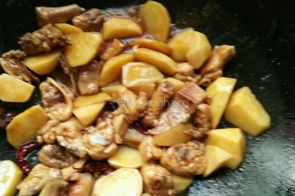土豆炖鸡肉的做法图解7