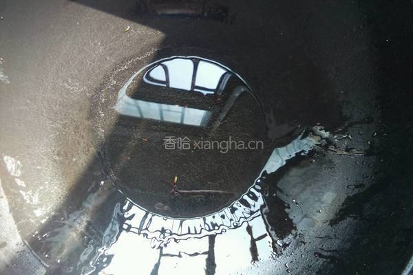 香鸭掌的做法图解4