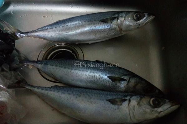 鲅鱼丸（两种做法）的做法图解1