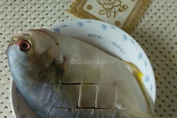 清蒸金鲳鱼的做法图解1
