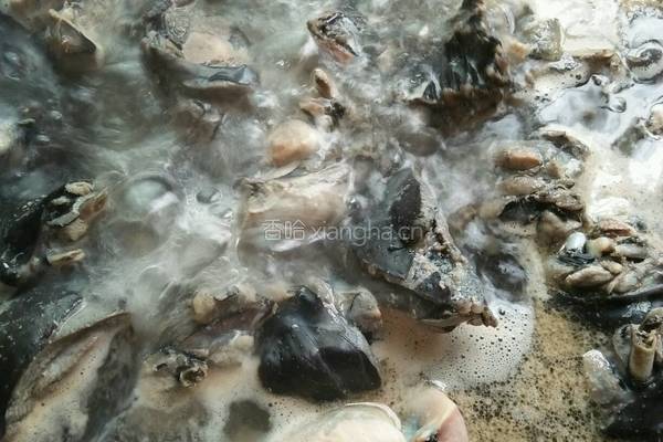 当归黄芪乌鸡汤的做法图解1