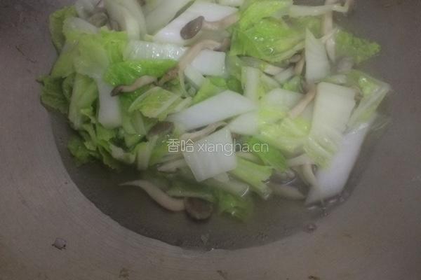 白菜菌菇的做法图解7