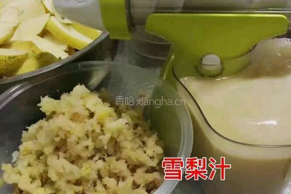 川贝秋梨膏的做法图解2