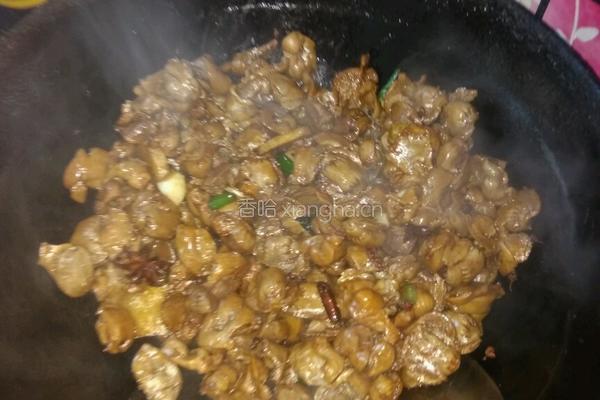 炖鸡胗的做法图解5