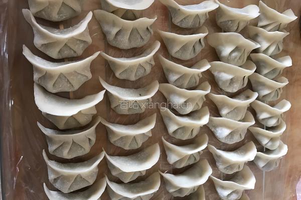 素三鲜饺子的做法图解6