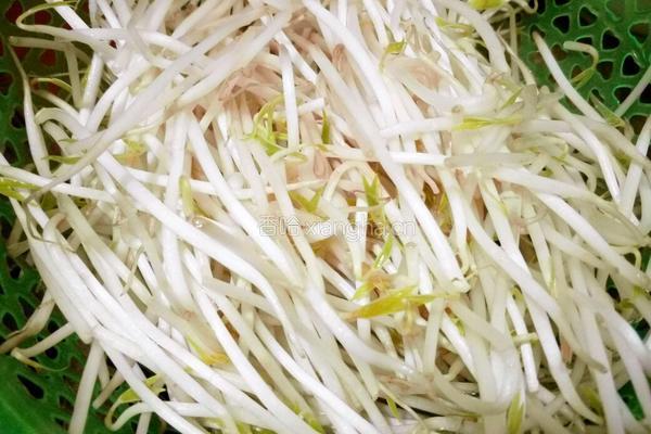 豆芽炒肉片的做法图解2