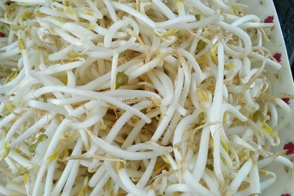 绿豆芽炒韭菜的做法图解1