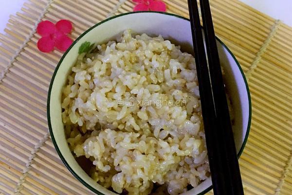 糙米发芽饭的做法图解3