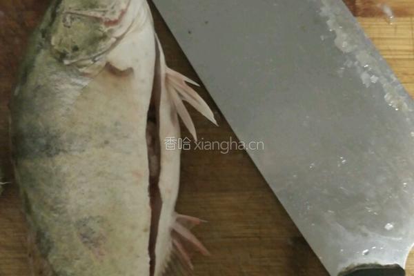 砂锅煲桂鱼面汤的做法图解1