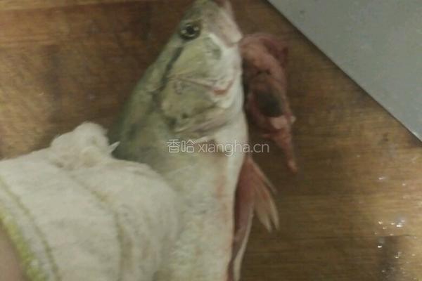 砂锅煲桂鱼面汤的做法图解2
