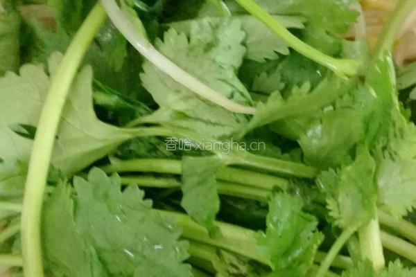 麻辣黄豆芽的做法图解3