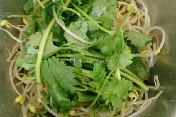 麻辣黄豆芽的做法图解7