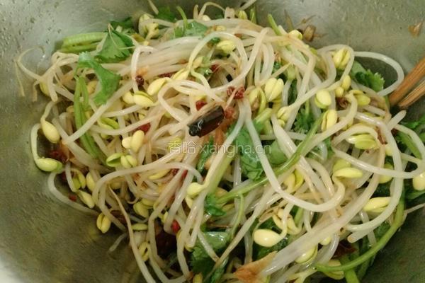 麻辣黄豆芽的做法图解8