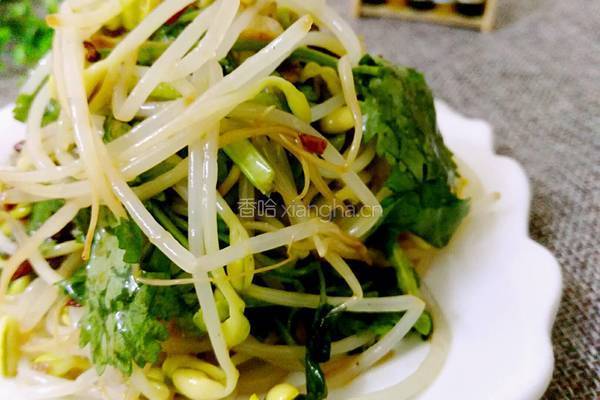 麻辣黄豆芽的做法图解9