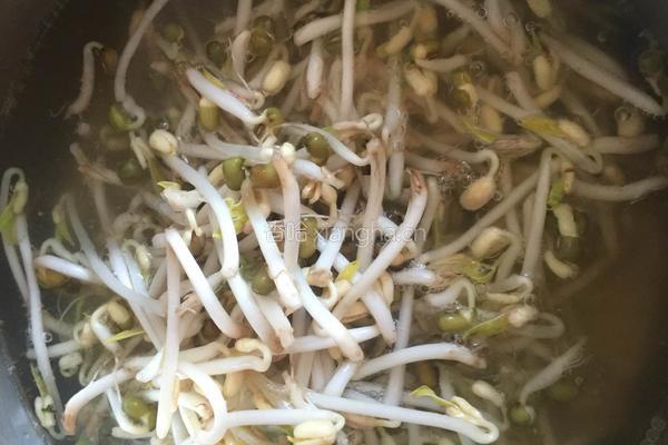 白菜豆芽豆皮拌胡萝卜的做法图解3