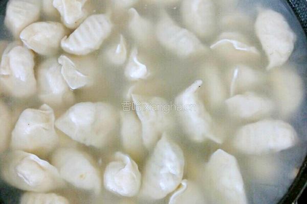 白菜粉条鸡蛋饺子的做法图解6