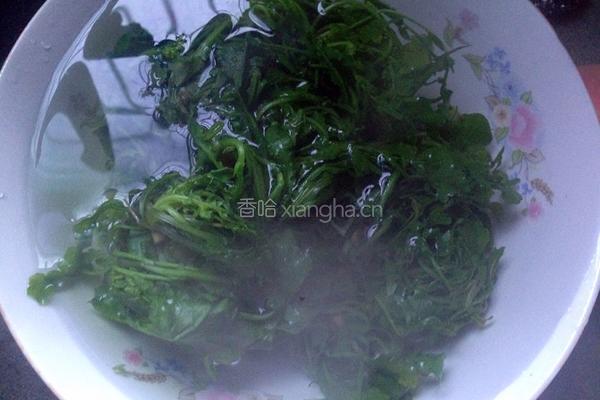荠菜大馄饨的做法图解4