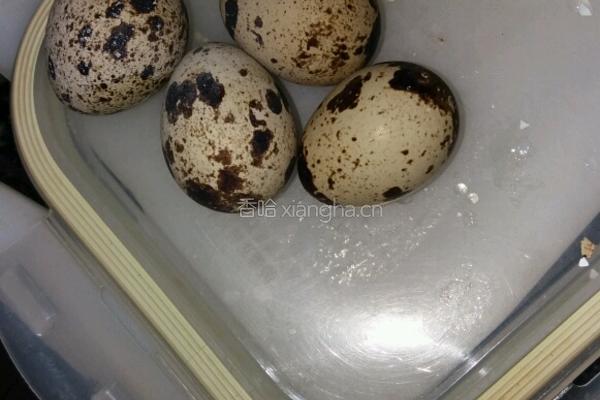 炒大白菜的做法图解4