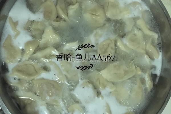 羊肉胡萝卜饺子的做法图解15
