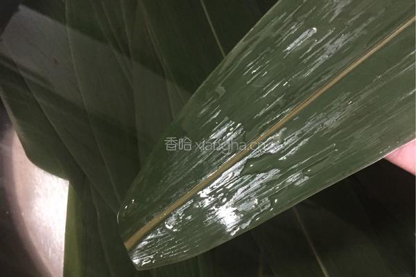 香菇肉粽的做法图解3