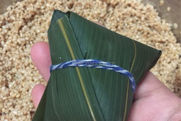 香菇肉粽的做法图解13
