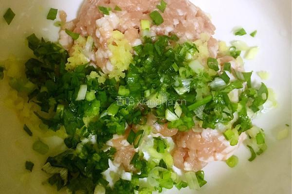 韭黄大肉饺子的做法图解3