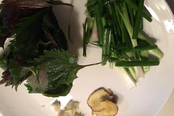 紫苏爆炒花甲的做法图解3