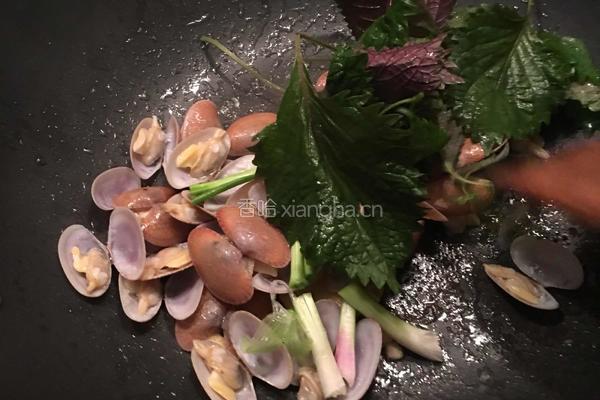 紫苏爆炒花甲的做法图解7