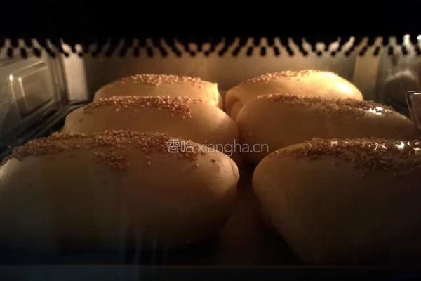肉松小面包的做法图解7