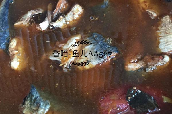 茄汁鲭鱼的做法图解5