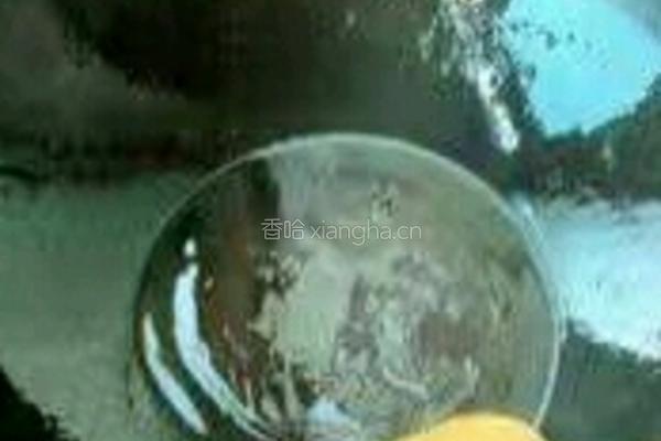 冬日糖醋排骨的做法图解5