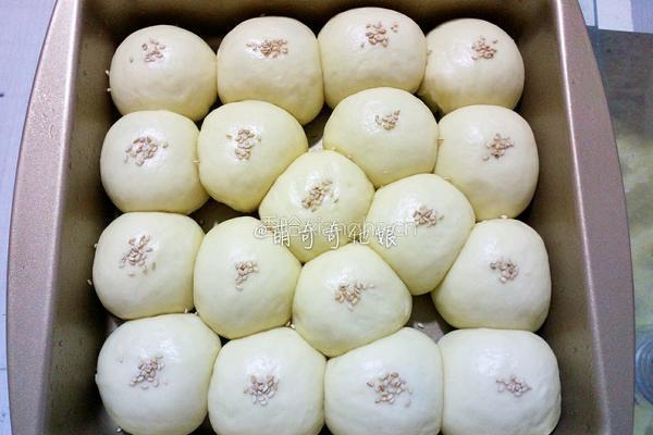 炼奶椰蓉小餐包的做法图解14