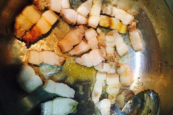红烧肉炖土豆的做法图解5