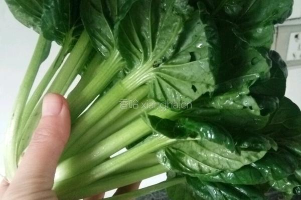 清炒青菜的做法图解1