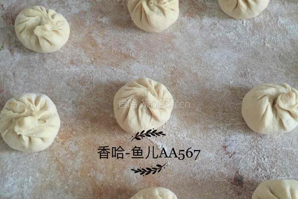羊肉胡萝卜包子的做法图解17