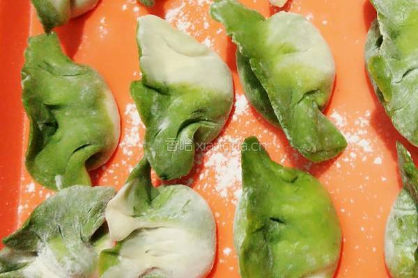 翡翠白菜饺子的做法图解16