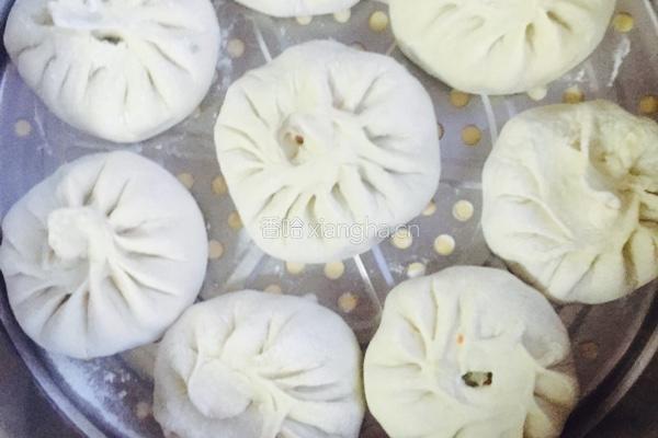 白菜芹菜胡萝卜肉馅包子的做法图解9