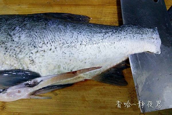 家常鱼火锅的做法图解5