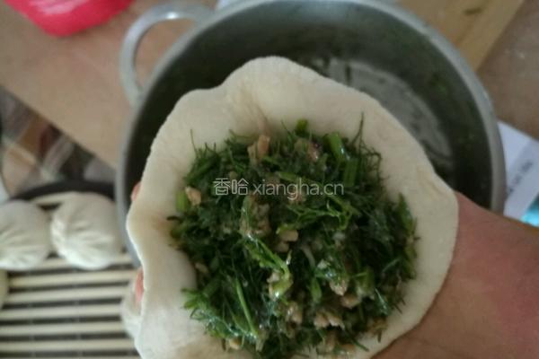 茴香猪肉馅大包子的做法图解5