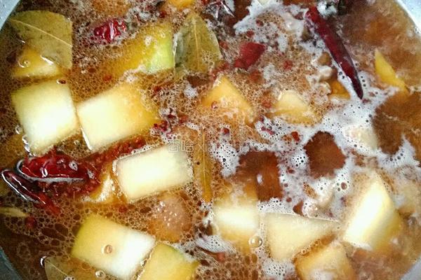 土豆冬瓜炖鸭的做法图解9