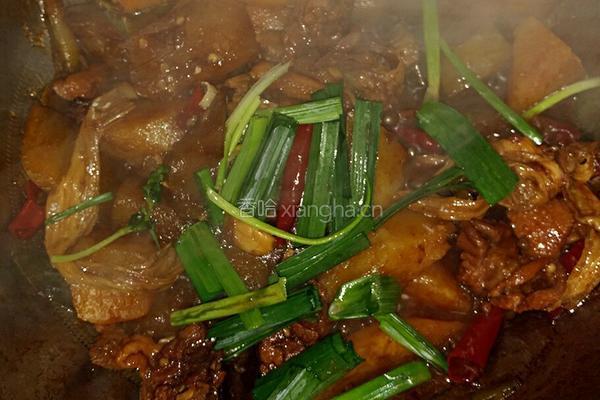 土豆冬瓜炖鸭的做法图解11
