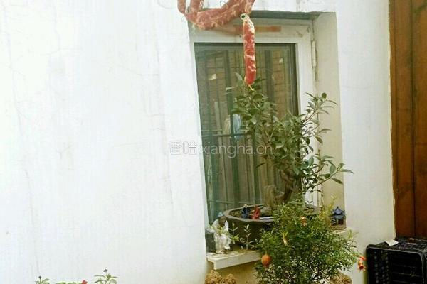 荷兰豆炒腊肠的做法图解7